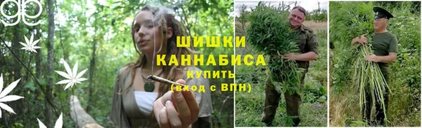 прущие грибы Белоозёрский