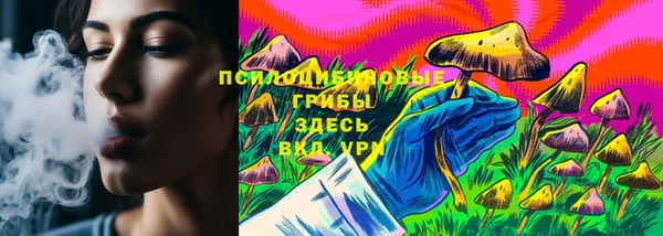 мдпв Беломорск