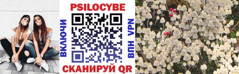 Галлюциногенные грибы GOLDEN TEACHER закладка Ершов